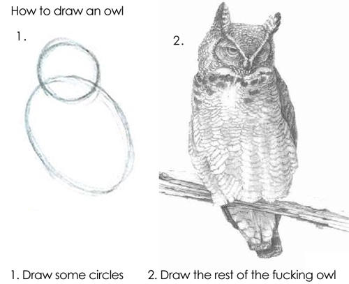 meme: draw circles, then draw an owl.